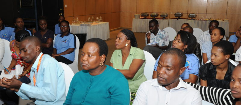 A History Of Social Work In Botswana And The Challenges Ahead 