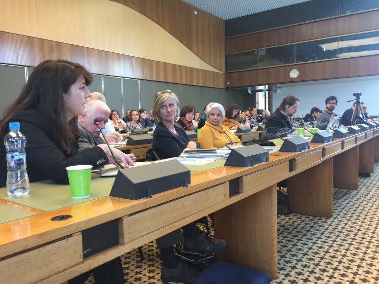 Social Work representatives speaking at the United Nations in Geneva