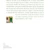 Social Work, Human Rights and Intercultural Relations - Image 2